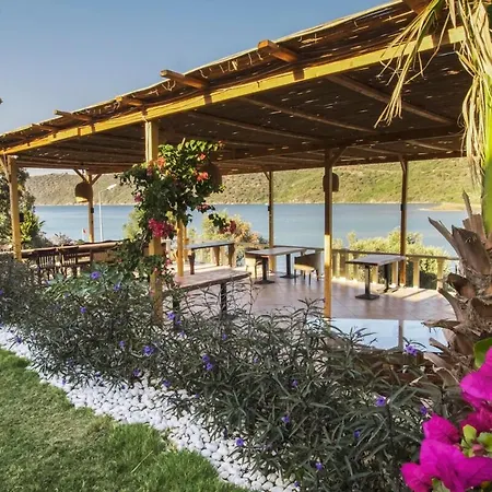 Charming Boutique With Garden *